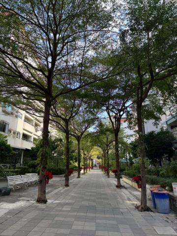 高雄苓雅法拍華廈-3